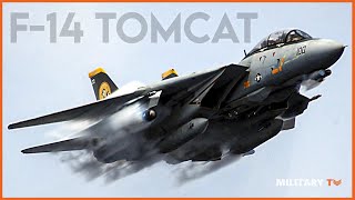 Why the F14 Tomcat Is Such a Badass Plane [upl. by Piderit939]