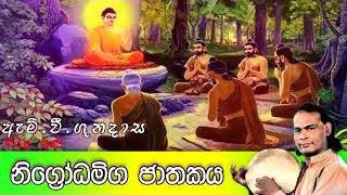 නිගෝධමිග ජාතකය  Viridu Bana  M V Gunadasa [upl. by Eimmas]