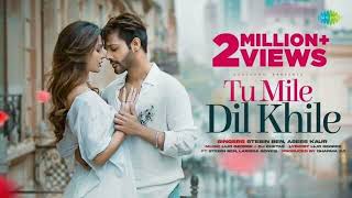 Tum Mile Dil Khile   Slowed  Reverb    Arijit Singh [upl. by Nottage]