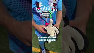 Parte 3 ¡Hoy ponemos a prueba dos pares de guantes de fútbol 🎉⚽ [upl. by Donell]