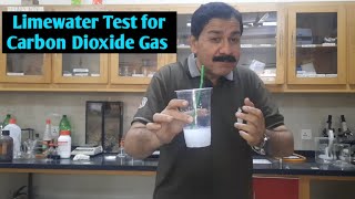 Limewater Test for Carbon Dioxide 🔥  Testing for CO2 Carbon dioxide with Limewater in 2023 Asif [upl. by Odlo]