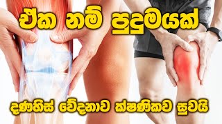 ක්ෂණිකව දණහිස් වේදනාව සුවයි arthritis sinhalaayurveda kneepain [upl. by Buyers449]