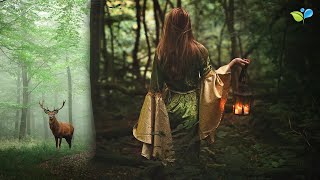 Enchanted Celtic Music  432Hz Nature Music  Magical Forest Sounds