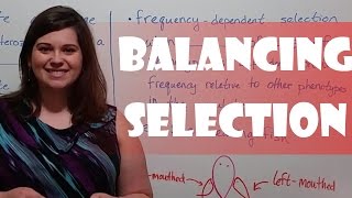 Balancing Selection [upl. by Berner]