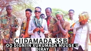 Khasaaraha dagaalka qori lugud amp Ciidamo Beeleedka Habarjeclo oo fariin adag diray [upl. by Anwahsat]