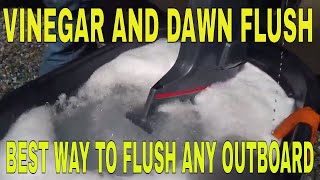 Flush your outboard at home better than Salt Away Flush Vinegar and Dawn method [upl. by Theta]