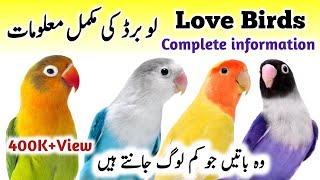 LoveBirds Breeding Tips  LoveBirds as Pets Business  LoveBird Nest Box Cage  Love Birds Diet Feed [upl. by Hahn]