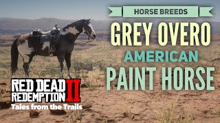 Red Dead Redemption 2 Horse Breeds  Grey Overo American Paint Horse [upl. by Lefkowitz]