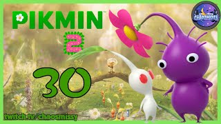 Pikmin 2  30  Die Schätze im Schnappers Nest part3 [upl. by Reeba]