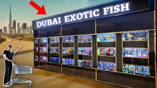 DUBAI EXOTIC FISH STORE TOUR [upl. by Daphene]