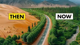 How China Turned The Desert Into Green Forests  The Great Green wall [upl. by Nevuer997]