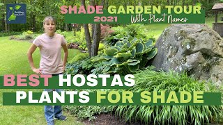 50th National Hosta Tour Gardens [upl. by Calderon]