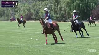 ChukkerTV Cup [upl. by Emelyne]