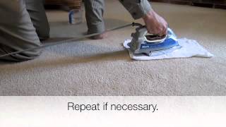 How to Remove Furniture Indentations [upl. by Lowrie]