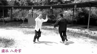 팔괘장  八卦掌  Baguazhang  Promise and Sense [upl. by Bosch]