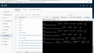 MultiApp Frameworks Containers  VMs  NSX Data Center [upl. by Anabelle]