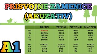 A1 LEKCIJA 19 ●PRISVOJNE ZAMENICE U AKUZATIVU [upl. by Nayek285]