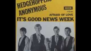 Hedgehoppers Anonymous  Its Good News Week Stereo  1965 [upl. by Matthias]