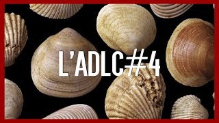 Bivalves et Fougères  lADLC4 [upl. by Flatto103]