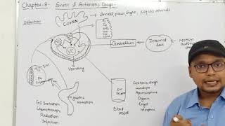 Emetics amp Antiemetics Drugs Physiology of Vomiting Classification  Ch8 Unit1 PharmacologyIII [upl. by Cirnek229]