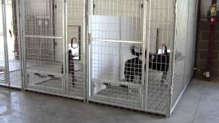 K9 Kennel Store Inside Outside Dog Kennel System [upl. by Bard382]