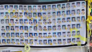 세월호의 단원고 희생자들 victims of Sewol ferry disaster [upl. by Ahael]