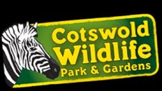 Cotswold Wildlife Park 2024 [upl. by Kirven]