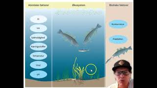 økosystem biotiske og abiotiske faktorer [upl. by Siberson]