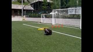 Allenamenti Portiere calcio  25 esercitazioni [upl. by Sundberg]