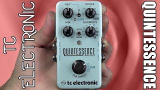 TC Electronic Quintessence Harmony Demo amp Review  Stompbox Saturday [upl. by Jerrilee]