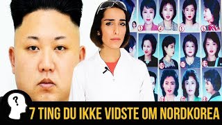 7 TING DU IKKE VIDSTE OM NORDKOREA [upl. by Aloek]