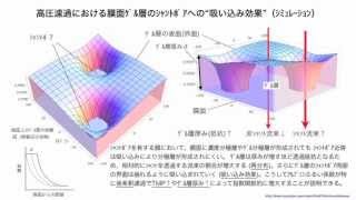 HDF血液透析濾過をめぐるいくつかの論点 2014講演収録版金成泰 [upl. by Justus]