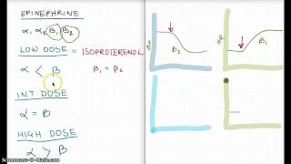 Easy Ways to remember Epinephrine Low Int high Dose [upl. by Yacov]