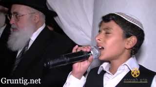 Uziya Tzadok Kochav Meir  Live At Chuppah עוזיה צדוק בחתונת נכדת הרב עובדיה זיעquotא [upl. by Nad]