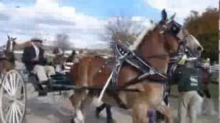 2012  Michigan Great Lakes International Draft Horse Show Part 1 [upl. by Annabel]