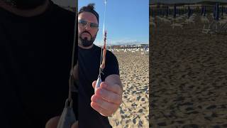 Esca bibi con arenicola clippata in pendolare baitcast baits fishingvideo surfcasting fish [upl. by Cinom]