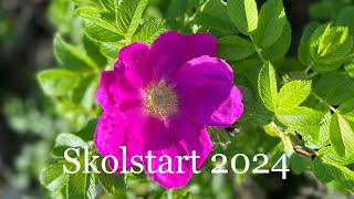 Skolstart 2024 [upl. by Jany]