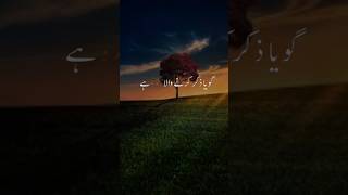 Hadees Shareef  islamicvideo shortsvideo viralvideo trending [upl. by Eleahcim]