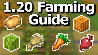 The Ultimate Minecraft 120 Crop Farming Guide  Tips and Tricks to Efficiently Grow Food [upl. by Mayram]