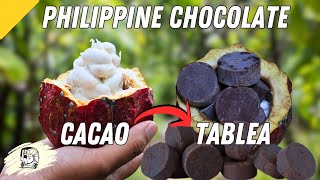 How Philippine Chocolate is Made  Biggest Cacao Farm In the Central Visayas [upl. by Morena852]