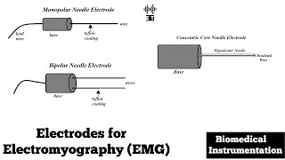 Electrodes for Electromyogram EMG  Biomedical Instrumentation and Measurement [upl. by Akelahs]