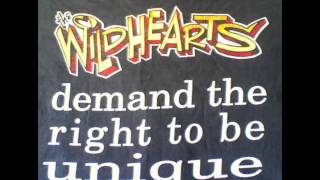 The Wildhearts  Live 1997 July 31st Shepherds Bush Empire London audio only [upl. by Auqinihs]