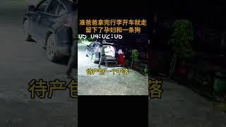 准爸爸拿完行李开车就走 留下了孕妇和一条狗 [upl. by Teiv820]