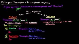 Prokaryotic Transcription Part 1 of 5  Transcriptional Regulation [upl. by Salvatore]