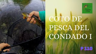 PROYECTO 110  COTO DE PESCA DEL CONDADO I 🏞️ LA AHOGADA TRIUNFA Y LLEGAN LAS PRIMERAS A SECA 🦟🦟 [upl. by Amye495]