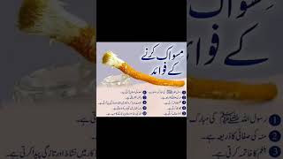 miswak ke fayde  miswak stick  molana Muhammad ismail farooqi [upl. by Prosperus]