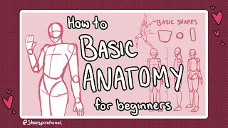 How to Draw Basic Anatomy [upl. by Ylek]