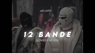 12 Bande  varinder Brar  slowed  reverb  md lofiz 🔥 [upl. by Sarita]