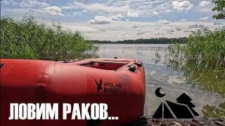 20249 Кемпинг 🏕️ на берегу озера Ловим раков 🦞 и не только 🍄🍳🦈 Отдых с палатками [upl. by Mellisent296]