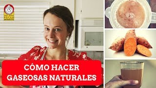 Cómo hacer GASEOSAS NATURALES [upl. by Ahsenrad]